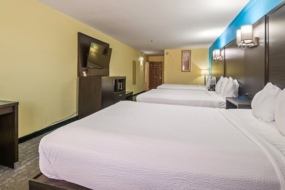 Online Booking EPS - photo 6