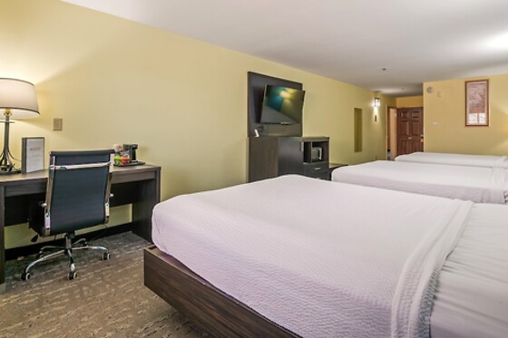 Online Booking EPS - photo 9