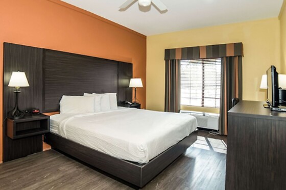 Online Booking EPS - photo 0