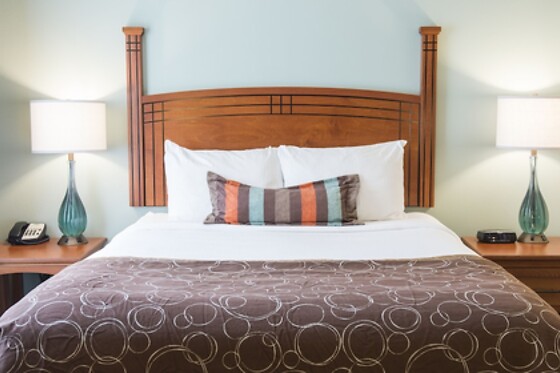 Online Booking EPS - photo 0