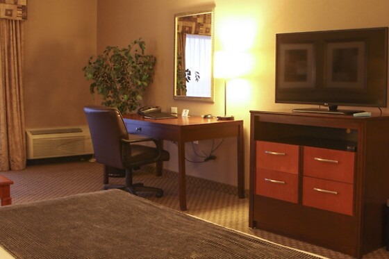 Online Booking EPS - photo 5