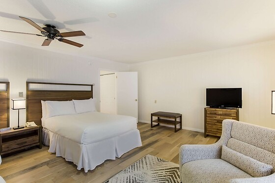 Online Booking EPS - photo 5