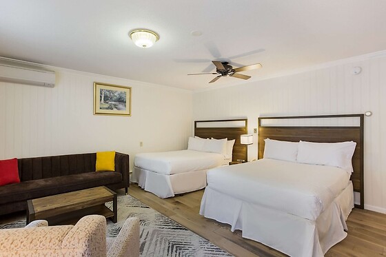 Online Booking EPS - photo 8