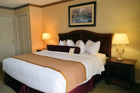 Online Booking EPS - photo 6