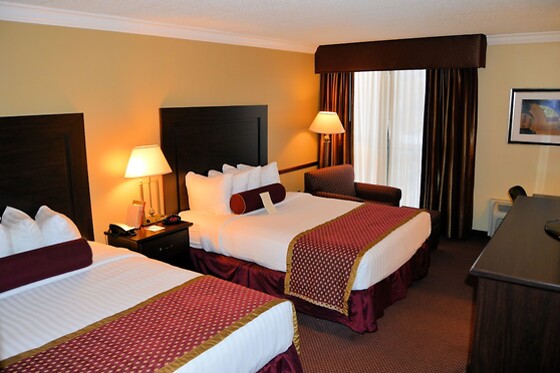 Online Booking EPS - photo 7