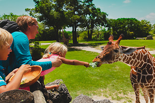 Zoos & Aquariums  