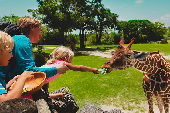 Zoos & Aquariums  
