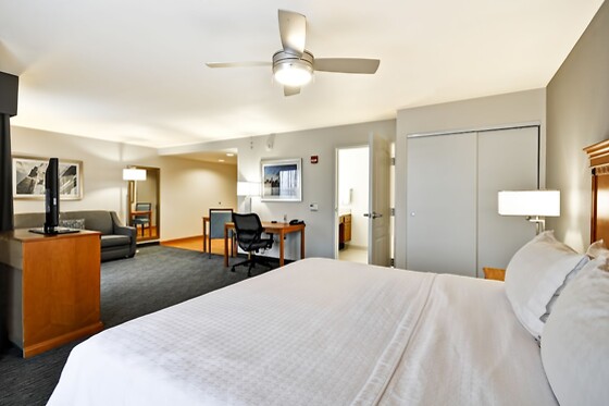 Online Booking EPS - photo 11