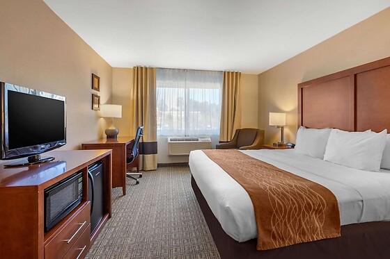 Online Booking EPS - photo 11