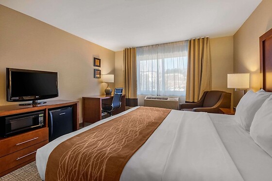 Online Booking EPS - photo 5