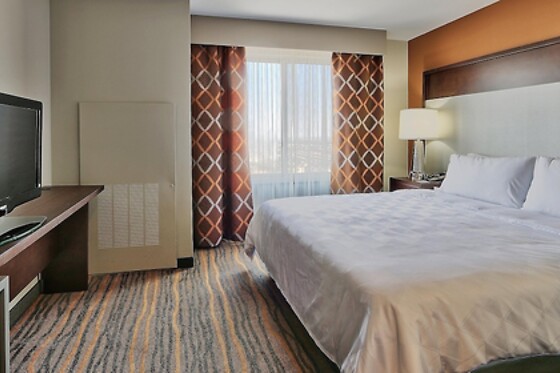 Online Booking EPS - photo 5