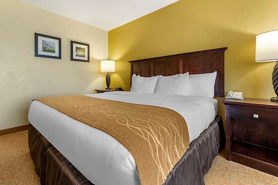 Online Booking EPS - photo 9