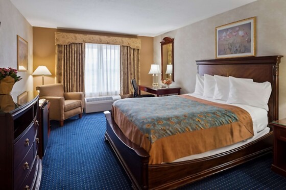 Online Booking EPS - photo 0