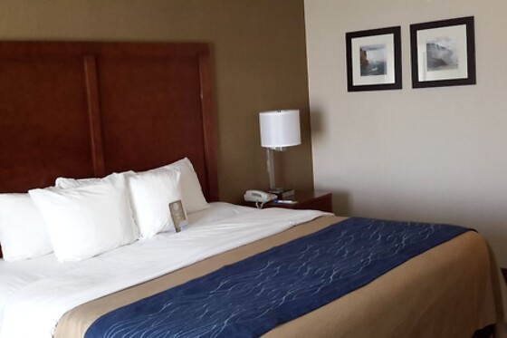 Online Booking EPS - photo 4