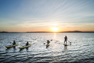 Kayak with Sea Lions at Fun Surf LA, Marina del Rey