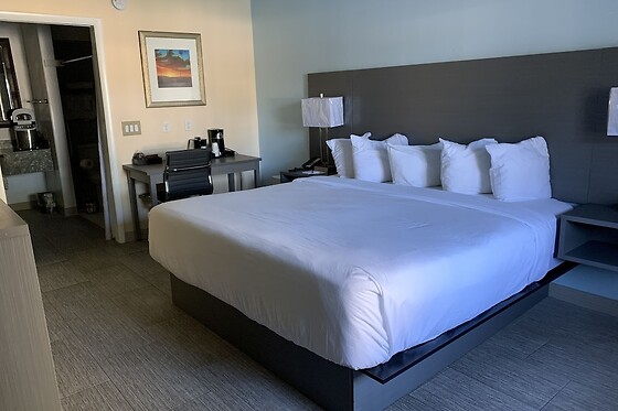 Online Booking EPS - photo 2