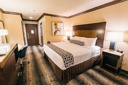 Online Booking EPS