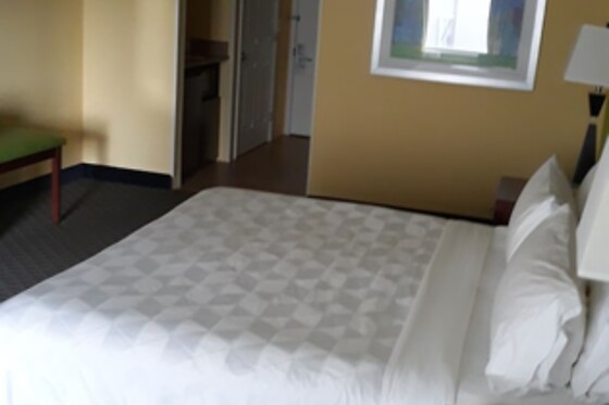 Online Booking EPS - photo 1