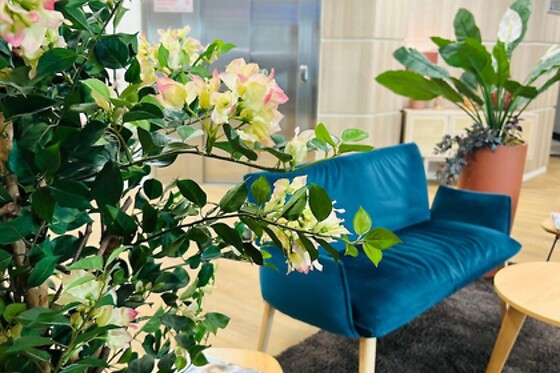 Online Booking EPS - photo 2