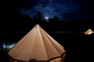 Getaway for 2 at Adirondack Safari