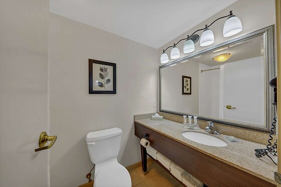 Online Booking EPS - photo 5