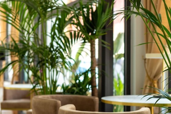 Online Booking EPS - photo 2