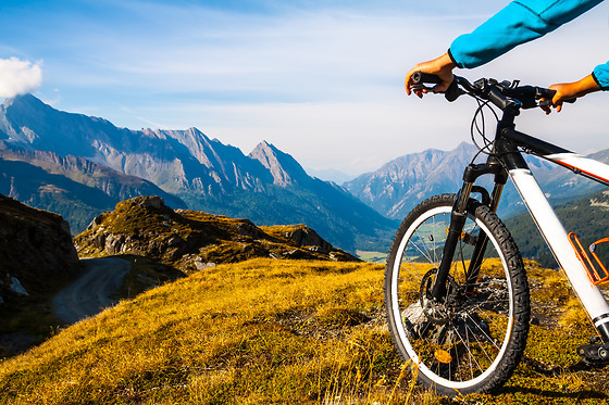 2-hour rental bike at Unlimited Biking Golden Gate Park