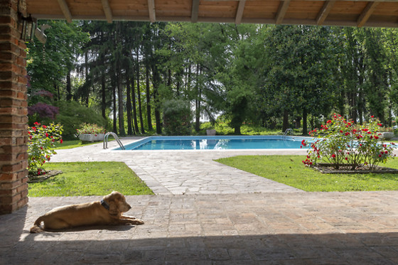 Pet-Friendly Getaway