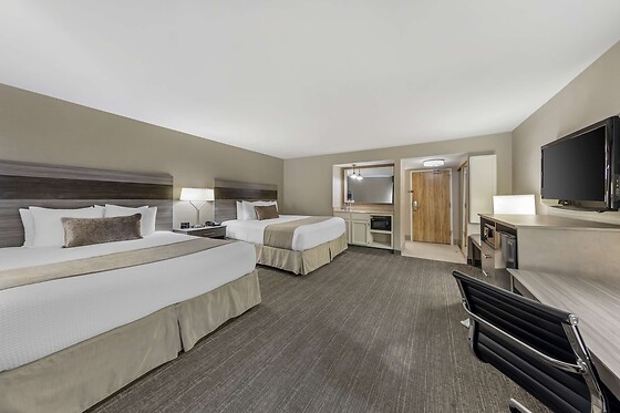 Online Booking EPS - photo 11