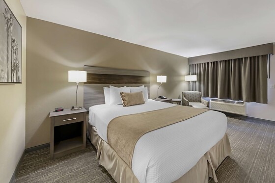 Online Booking EPS - photo 7