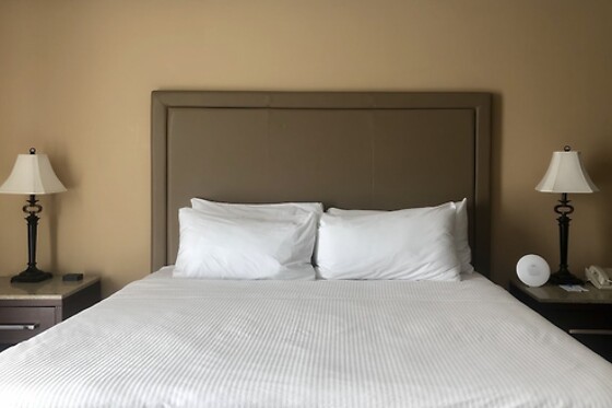 Online Booking EPS - photo 9