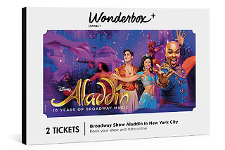 Aladdin The Broadway Musical - 2 Tickets