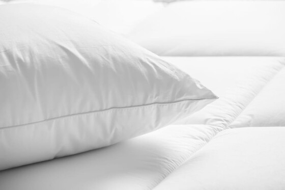 Online Booking EPS - photo 6