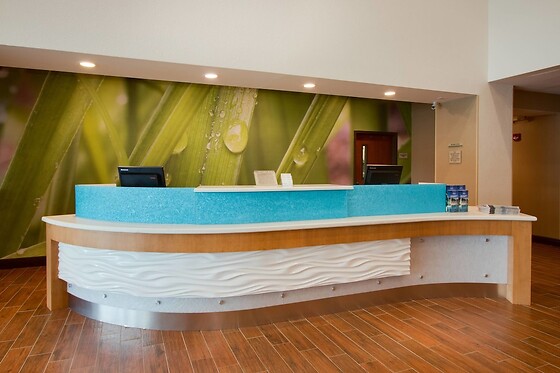 Online Booking EPS - photo 6