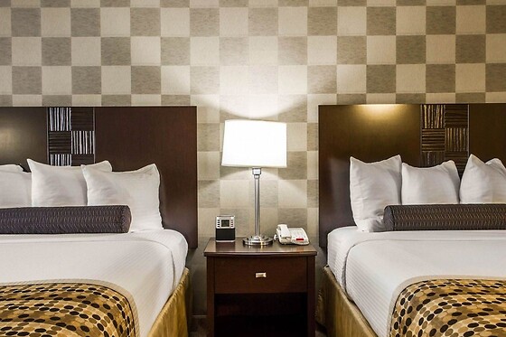 Online Booking EPS - photo 3