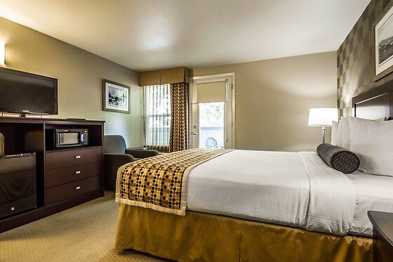 Online Booking EPS - photo 9