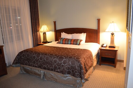 Online Booking EPS - photo 1