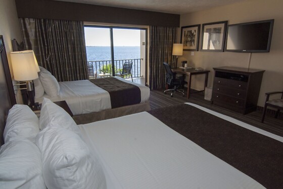 Online Booking EPS - photo 1