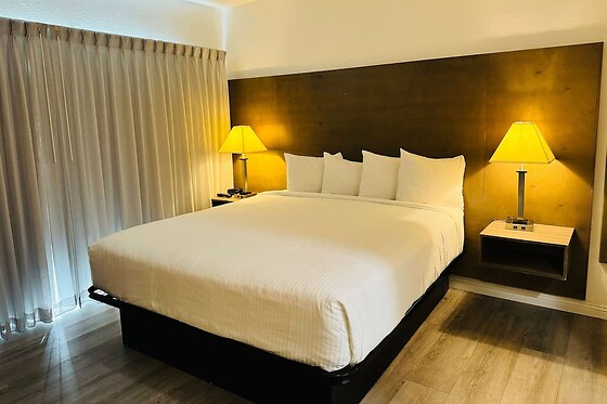 Online Booking EPS - photo 3