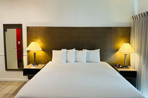 Online Booking EPS - photo 1