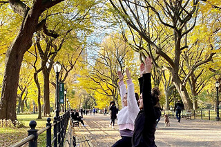 Sunrise Yoga Walk in Central Park for 4 people