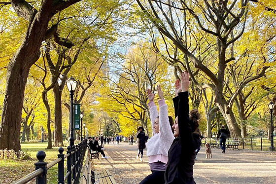 Central Park Bike Ride and Yoga for 6 people