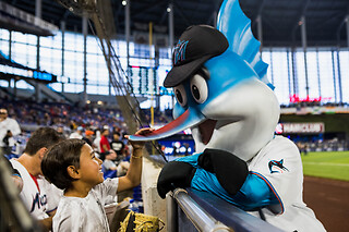 Miami Marlins Game in Miami, FL