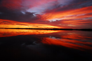 Dolphin, Birding and Shelling Tour