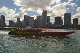 Thriller Miami