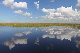 Sawgrass Recreation Park