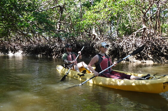 Boat Assisted Kayak Eco Tour