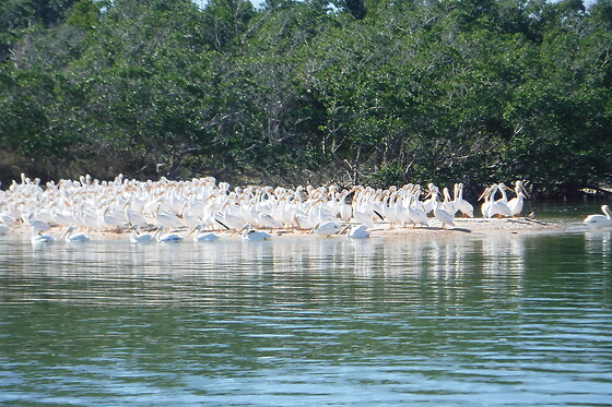 Private Photography and Birding Safari