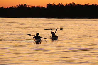 Boat Assisted Kayak Eco Tour