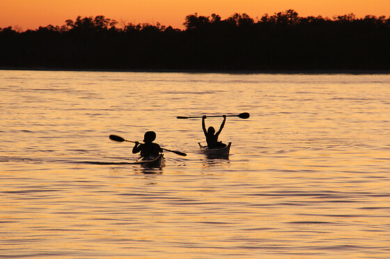 Boat Assisted Kayak Eco Tour